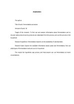 Referāts 'Rūgšanas procesi', 3.