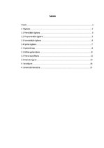 Referāts 'Rūgšanas procesi', 4.