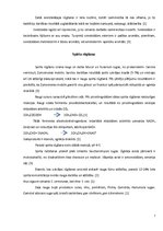 Referāts 'Rūgšanas procesi', 13.