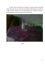 Referāts 'Rūgšanas procesi', 18.