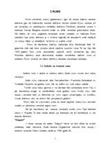 Referāts 'Alkoholisko dzērienu grupu prečziniskais raksturojums', 7.