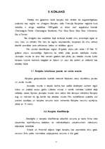 Referāts 'Alkoholisko dzērienu grupu prečziniskais raksturojums', 11.