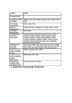 Referāts 'Personvārdi Imanta Ziedoņa darbā "Poēma par pienu"', 33.