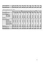 Biznesa plāns 'Viesnīca Salacgrīvā "Brīze"', 25.