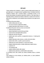 Biznesa plāns 'Desu ceha projekts', 2.