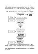Biznesa plāns 'Desu ceha projekts', 11.