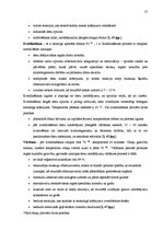 Biznesa plāns 'Desu ceha projekts', 17.