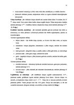 Biznesa plāns 'Desu ceha projekts', 18.