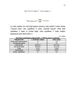 Biznesa plāns 'Desu ceha projekts', 33.