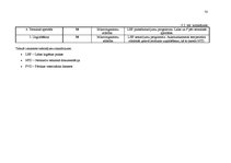 Biznesa plāns 'Desu ceha projekts', 58.