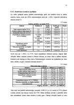 Biznesa plāns 'Desu ceha projekts', 61.