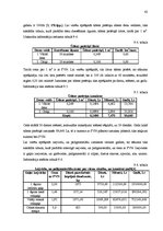 Biznesa plāns 'Desu ceha projekts', 62.