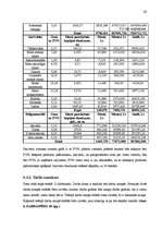 Biznesa plāns 'Desu ceha projekts', 63.