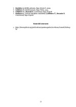 Referāts 'Cilvēka gara dzīves posms astrālajā telpā pēc nāves', 13.