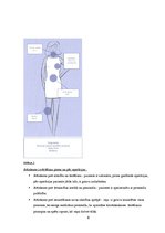 Prakses atskaite 'Pacienta izglītošanas plāns', 6.