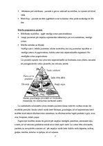 Prakses atskaite 'Pacienta izglītošanas plāns', 7.