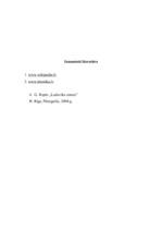 Referāts 'Gundega Repše "Ludovika zemes"', 13.