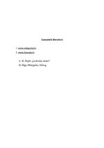 Referāts 'Gundega Repše "Ludovika zemes"', 14.