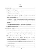 Referāts 'Organizētā noziedzība', 2.