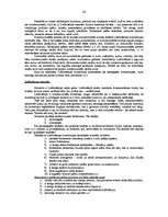 Konspekts 'Konspekts konstitucionālajās tiesībās (ES un NVS valstis)', 24.