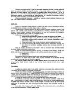 Konspekts 'Konspekts konstitucionālajās tiesībās (ES un NVS valstis)', 26.