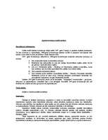 Konspekts 'Konspekts konstitucionālajās tiesībās (ES un NVS valstis)', 32.