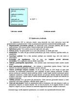 Referāts 'Viss par IKP dinamiku Latvijā', 5.