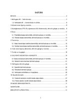 Prakses atskaite 'Helikoptera "Mi - 2" apkope', 3.