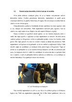 Prakses atskaite 'Helikoptera "Mi - 2" apkope', 14.