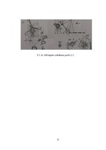 Prakses atskaite 'Helikoptera "Mi - 2" apkope', 27.