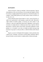 Prakses atskaite 'Helikoptera "Mi - 2" apkope', 33.