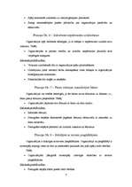 Referāts 'Projektu vadīšanas principi, tehnikas un stili', 6.