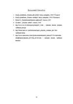 Referāts 'Projektu vadīšanas principi, tehnikas un stili', 22.