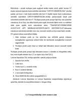 Referāts 'Dokumentu viltošana, tās atklāšanas krimināltiesiskā nozīme', 25.