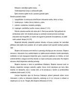 Referāts 'Dokumentu viltošana, tās atklāšanas krimināltiesiskā nozīme', 61.