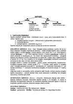 Konspekts 'Iekšējās vides audi', 2.