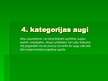 Prezentācija 'Aizsargājamie augi Latvijā', 13.
