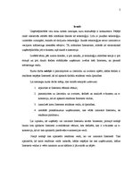 Referāts 'Reklāma internetā', 3.