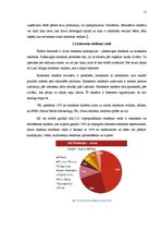 Referāts 'Reklāma internetā', 11.