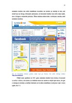 Referāts 'Reklāma internetā', 13.