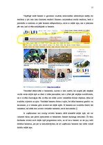 Referāts 'Reklāma internetā', 15.