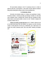 Referāts 'Reklāma internetā', 17.