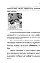 Referāts 'Reklāma internetā', 18.