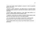 Referāts 'Reklāma internetā', 30.