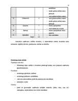 Referāts 'SIA "Baltkom" vadīšanas sistēmas analīze', 16.