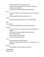 Referāts 'SIA "Baltkom" vadīšanas sistēmas analīze', 19.