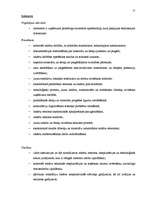 Referāts 'SIA "Baltkom" vadīšanas sistēmas analīze', 21.