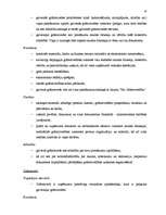 Referāts 'SIA "Baltkom" vadīšanas sistēmas analīze', 23.