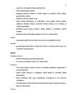 Referāts 'SIA "Baltkom" vadīšanas sistēmas analīze', 24.