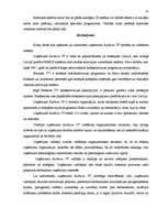 Referāts 'SIA "Baltkom" vadīšanas sistēmas analīze', 45.